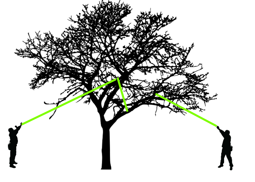 Tree Rigging is the art of dismantling parts of or whole trees using ropes, blocks, and pulleys. 