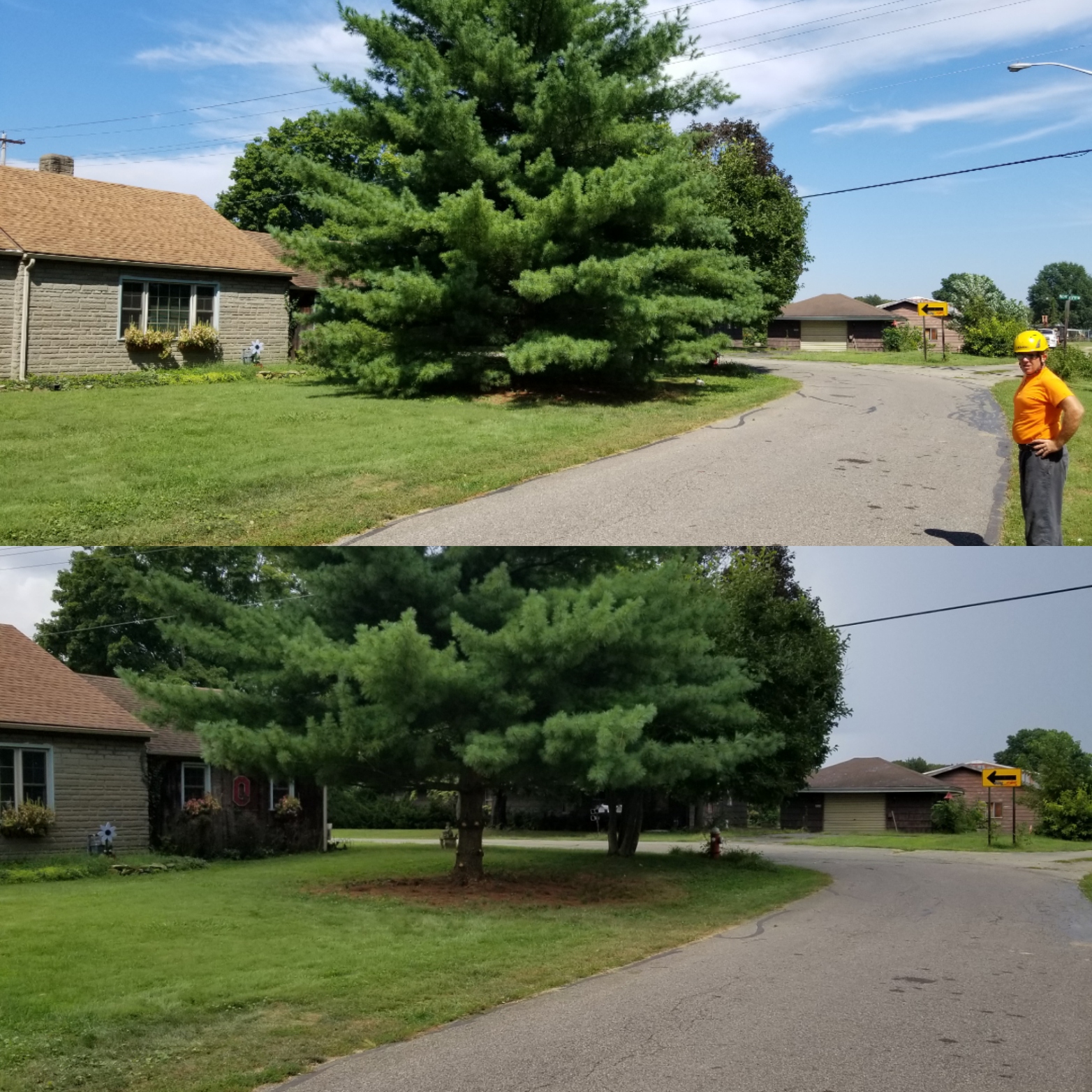 Branch Management Tree before picture with the after just below.