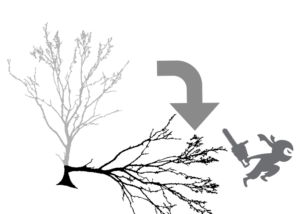 Tree Removal with Mechanical Rigging: Branch Management